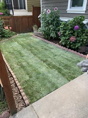 Lawn Care and Maintenance