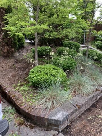 Seattle residential landscape installation with layered planting beds